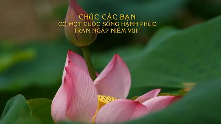 8 CẢNH GIỚI LÀM NGƯỜI CAO NHẤT của bậc Đại Trí Huệ