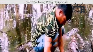 Sinh tồn trong rừng ngập nước p1