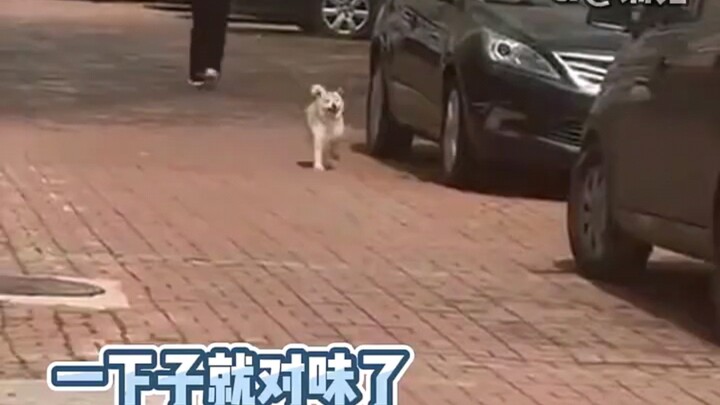 ความสามารถในการลงมือทำที่น่ากลัวเหลือเกิน