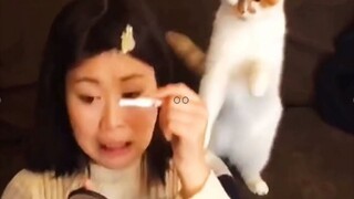 Kucing: Merias diri ya! Kencan ya! Pacar ya!