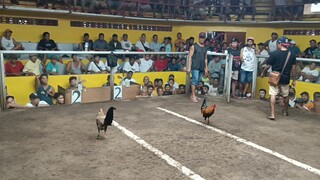 4th Fight ( Last fight) ALDREAM HENNY, iba pag may kasamang dancer . buhay ang arena 😅