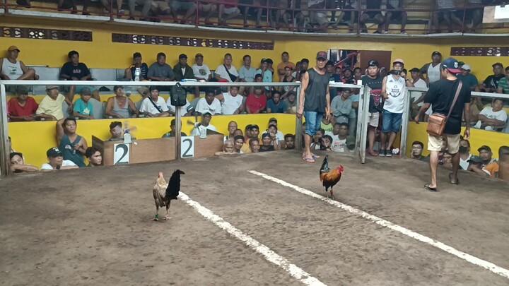 4th Fight ( Last fight) ALDREAM HENNY, iba pag may kasamang dancer . buhay ang arena 😅