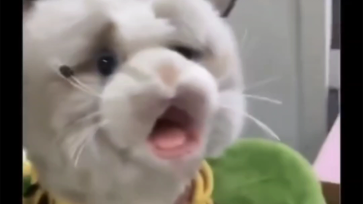 Có thể, nhưng không khuyến khích.