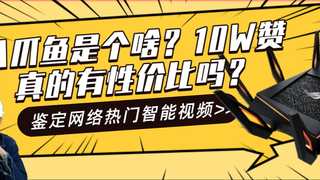 八爪鱼能白灼吗？真的就比99的路由器香吗？