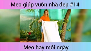 Mẹo giúp vườn nhà đẹp p14