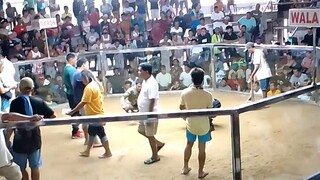 march 23 2025 balamban cockpit