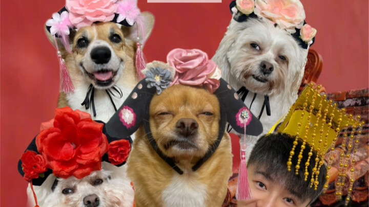 <Harem: The Dog's Tale> Episode 5