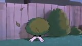 [Pembicaraan Lain-Lain] Untuk membersihkan nama Tom and Jerry, setelah memarahinya selama setengah t