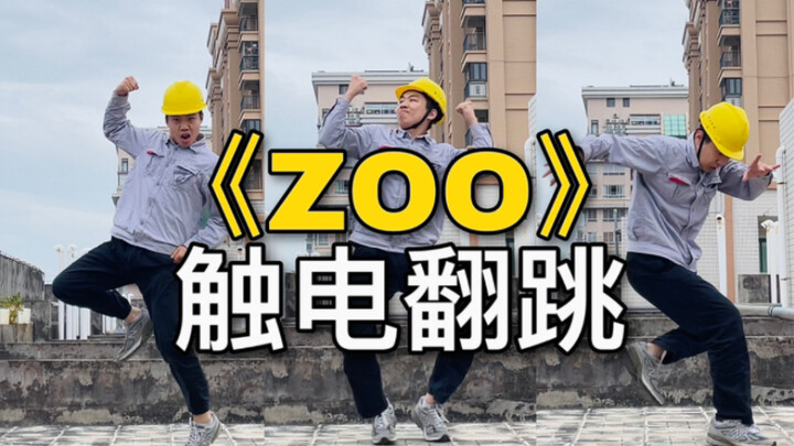 【电工版】李泰容《ZOO》翻跳，我知道你很吉，但你先别急