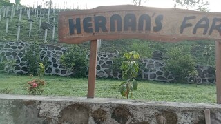 ang Ganda ng hernans farm