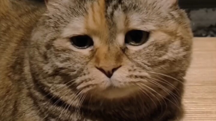 «لا أعرف سبب حزني، فهو يحيط بي»