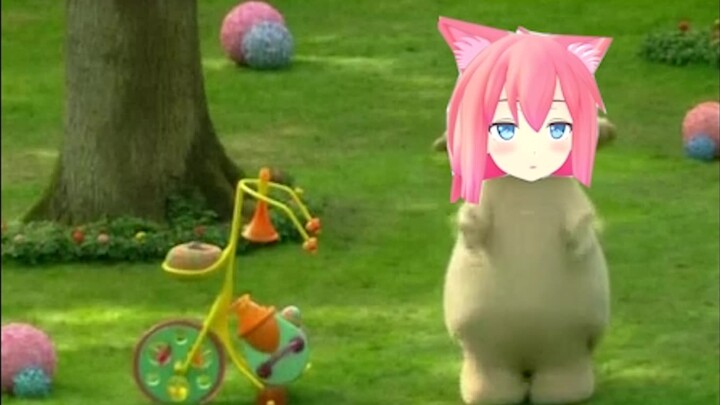 【Istana Kucing Hinata】 Kucing Kabaka