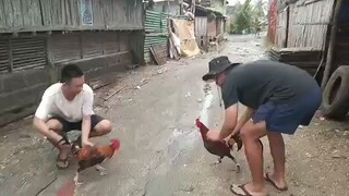 #fitfighter