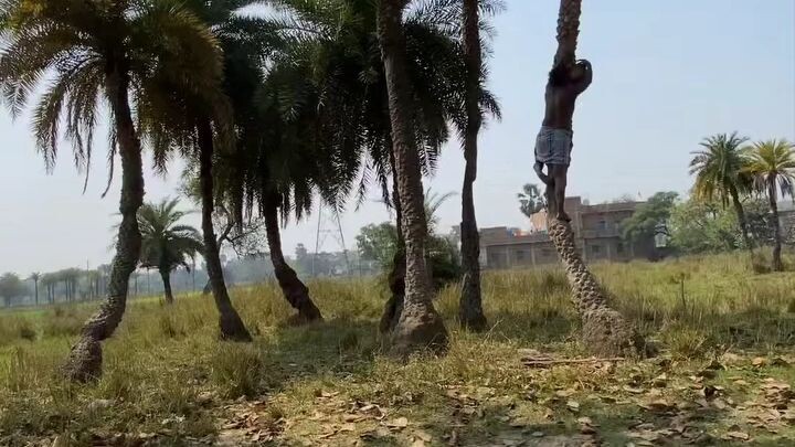 india 🇮🇳