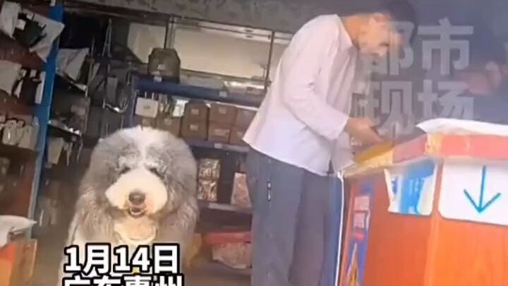 Cái này thông minh quá rồi còn gì
