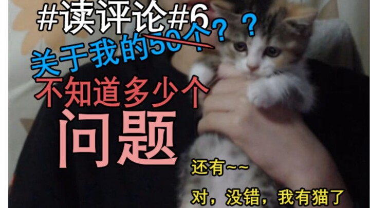 Reading the Comments #6# I Have a Cat!!!! 50 Questions About Me!