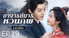 ตอนที่ 19