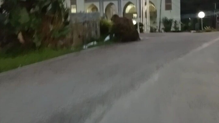 Kota Padang Panjang