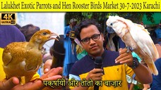 Lalukhet Exotic Birds Hen and Rooster Market 30-7-23 Karachi Unique Parrots