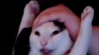 🐱"Lebih waspada seratus kali lipat!!"🐱