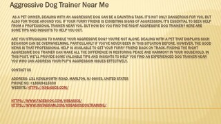 Aggressive Dog Trainer Near Me
