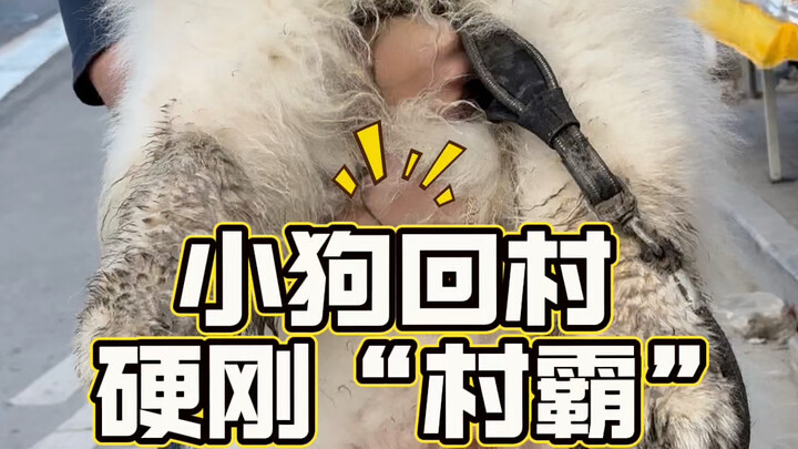 Hồi ký Đại Béo về làng