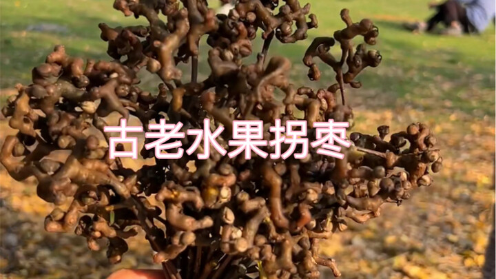 หนึ่งในขนมไม่กี่อย่างสมัยเด็กๆ