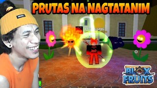 Blox Fruits #24 - Prutas Na Nagtatanim Ng Sama Ng Loob | Roblox Tagalog