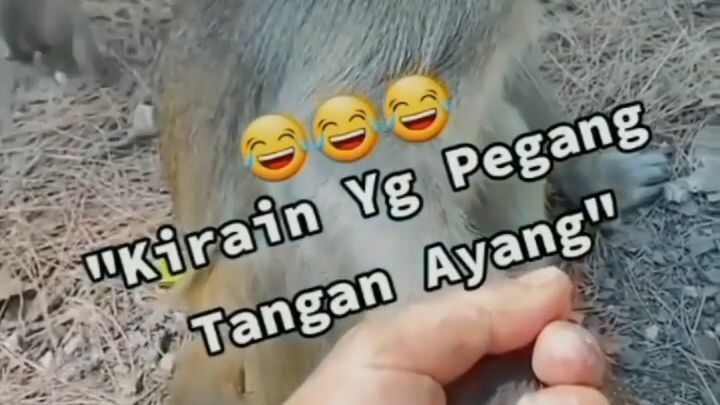 kirain tangan ayang - funnystory