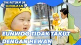 Eunwoo Tidak Takut Dengan Hewan |The Return of Superman|SUB INDO/ENG|221118 Siaran KBS WORLD TV|