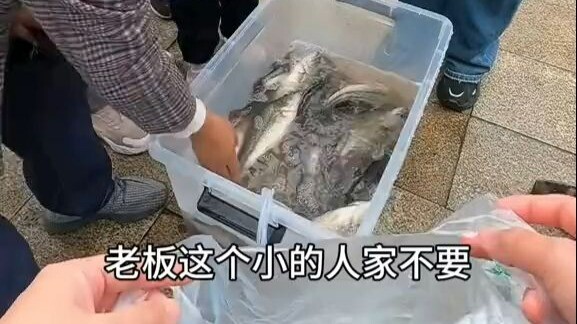 วันนี้ขายปลาหมดเกลี้ยง แต่สุดท้ายกลับขาดทุนหนักมากเลย