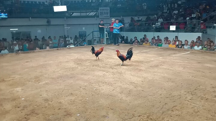 Naka chamba pa sa Coliseo de Manila