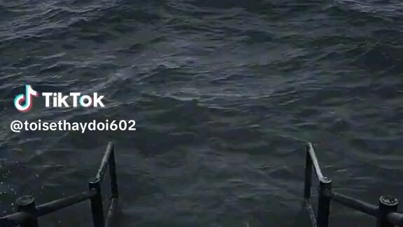 dmm