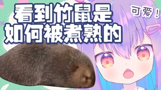 看到竹鼠是如何被煮的，日V的反应