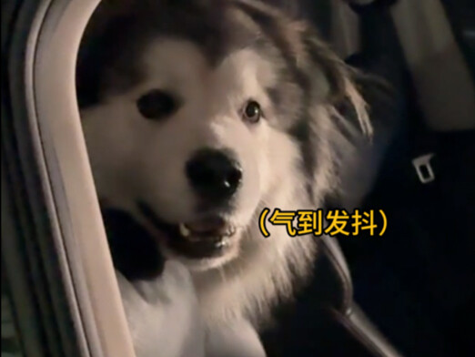 اتضح أن الجرو الصغير يغار أيضًا!