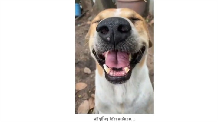 หยีๆ ยิ้มๆ ไอ้รอนเอ้ยยยย...
