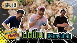 ผัดขี้เมาสิรินทร์ฟาร์ม - [ คนฟาร์มทำครัว ] EP.13