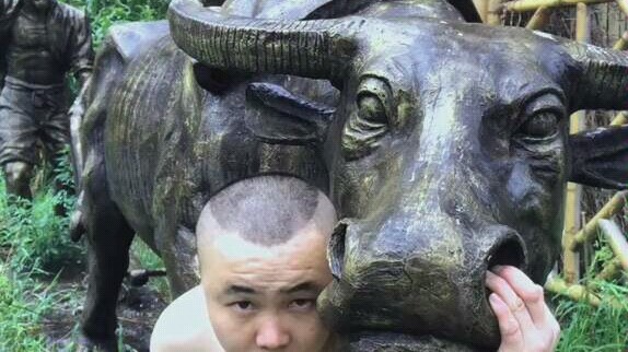 พี่ชายแห่งการยกวัว