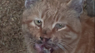 หวังเพียงให้คุณได้มีชีวิตใหม่อีกครั้ง