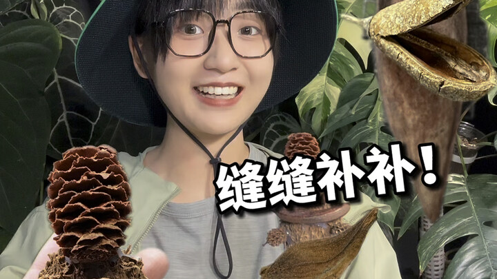 Ah ah ah! Tuan Guo Ke yang selalu kekurangan anggota tubuh!!