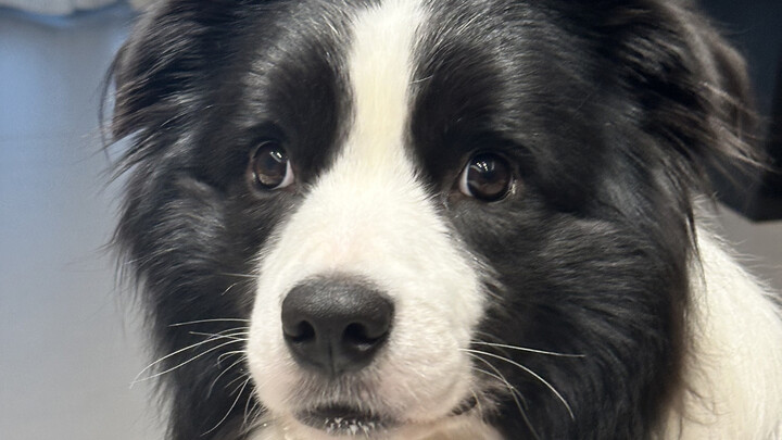 “妈妈，或许我不是真的人，但……”