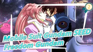 [Mobile Suit Gundam SEED] Freedom Gundam Is the Srongest!_2