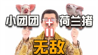 【一条小团团】团团荷兰猪双排，双猪合毕，天下无敌。队友心态炸裂，直呼不行