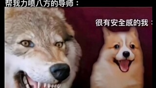 这样的神仙导师谁不想要啊