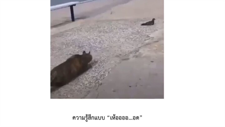 นอยเรยยย