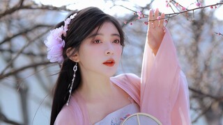 【Phong cách cổ điển】Đê Tô Công "Mùa xuân đến chẳng vì điều gì, chỉ bận rộn vì hoa"