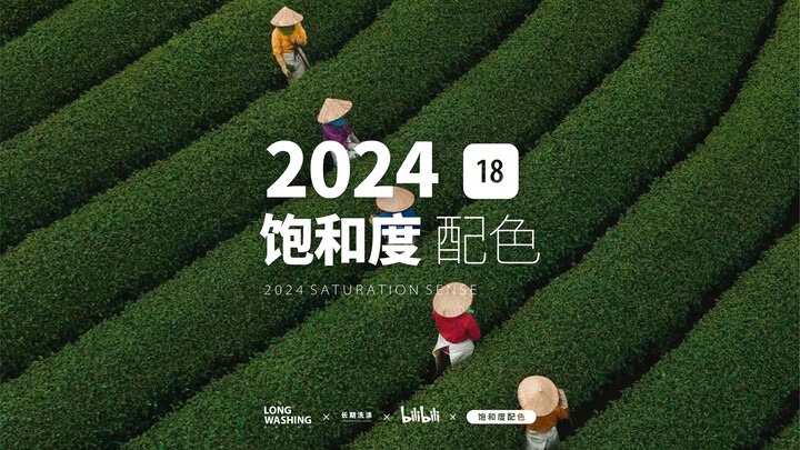 Cuci Jangka Panjang | Seri 18: Palet Warna High-End dengan Saturasi Tinggi | Jord Hammond