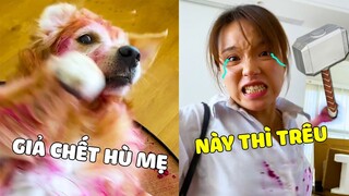 Đại Trang | ĐẠI TRANG Giả vờ CHẾ.T Thử Lòng MẸ Và Cái Kết... 🤣 Gâu Đần Official