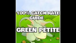 Green Petite 100% Success - Ragnarok M Eternal Love