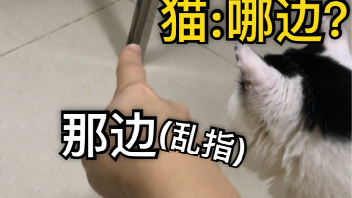 When the cat was looking for a toy, I just pointed it in a random direction…